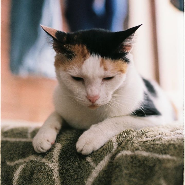 Go to Bảo Ngọc Hồ's profile