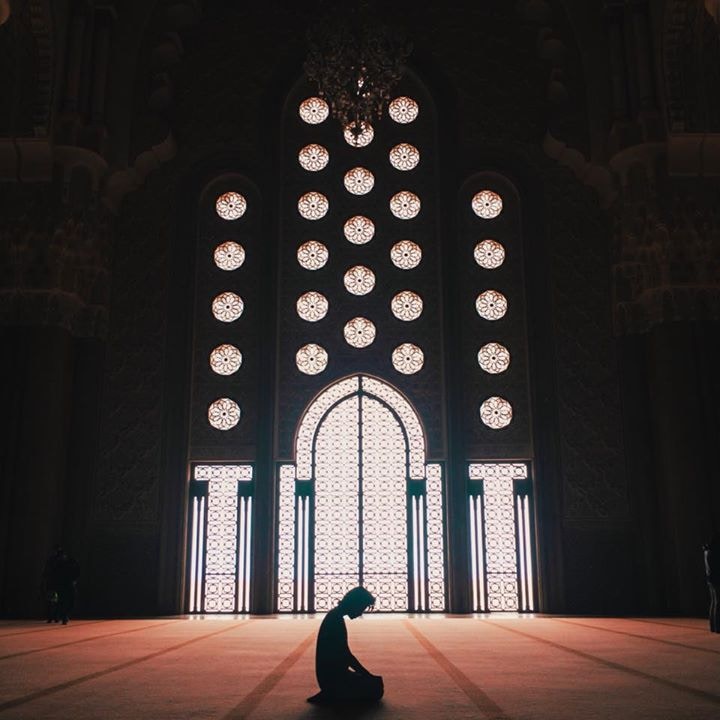 Go to Meor Mohamad's profile