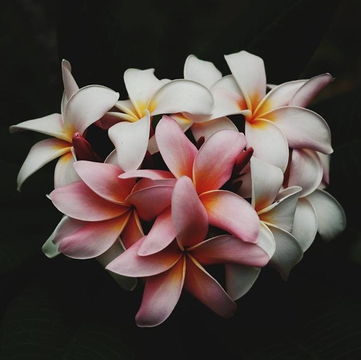 Unsplash profile picture for @cooing