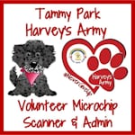 Avatar of user Tammy Park