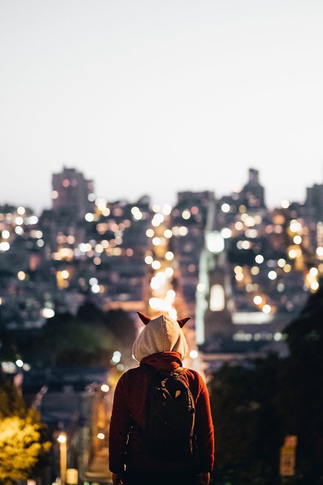 Unsplash profile picture for @pagal