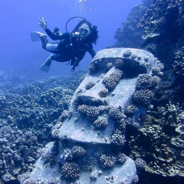 Go to Nuraini Arsad's profile