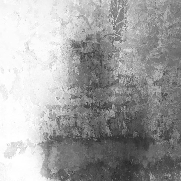 Zum Profil von Carolina Sánchez