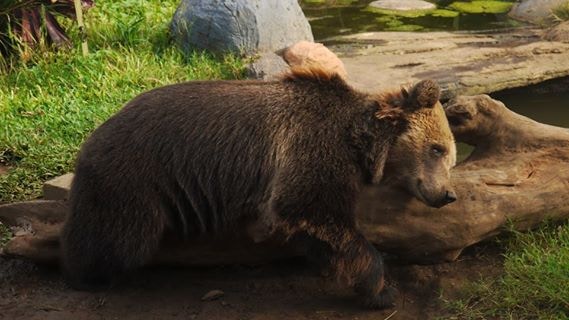 Go to harun asrori's profile