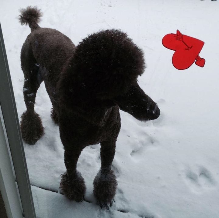 Go to Tara Giovenco's profile