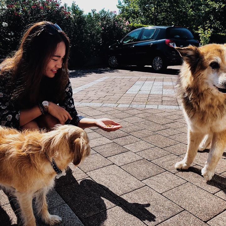 Go to Pamela C.'s profile