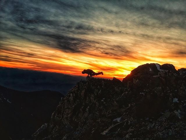 Go to Jordan Skattum's profile