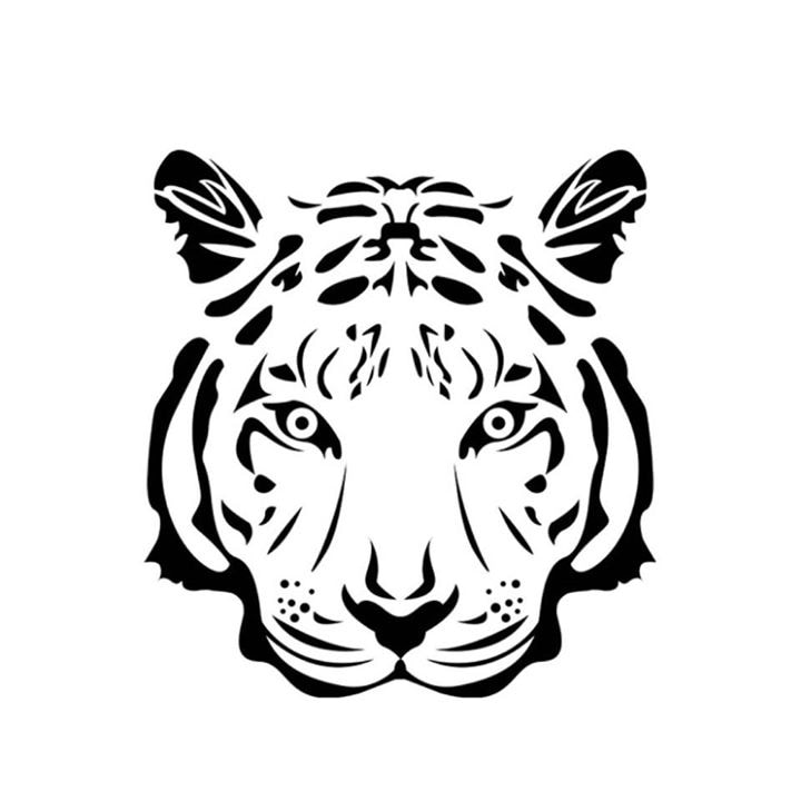 Unsplash profile picture for @mmss