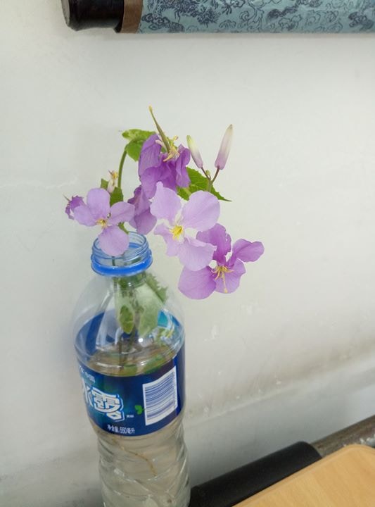 Go to 孙 铭泽's profile