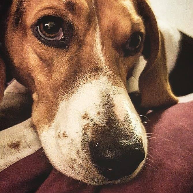 Go to Mike Lerley's profile