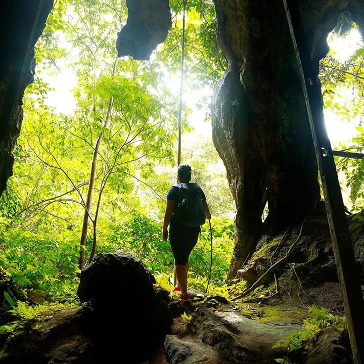 Avatar of user Megan Leong