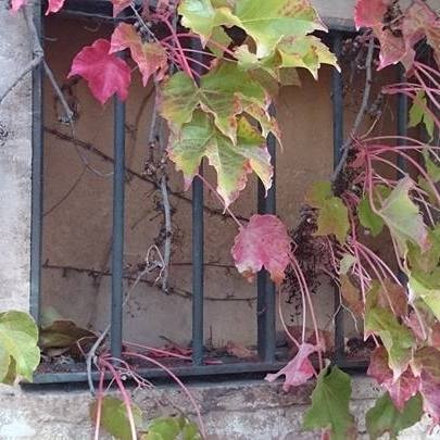 Go to ANDREU REYNÉS's profile