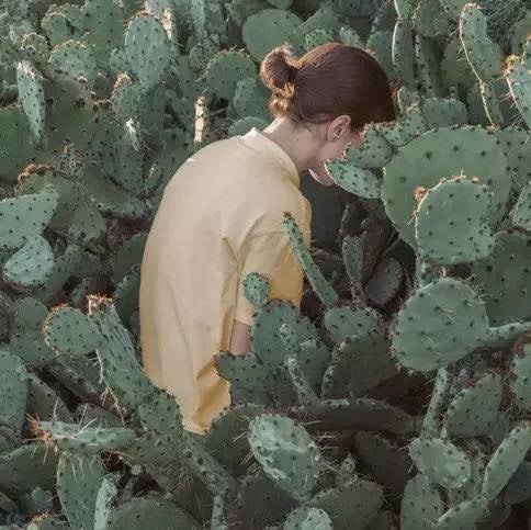 Zum Profil von Shu Liu