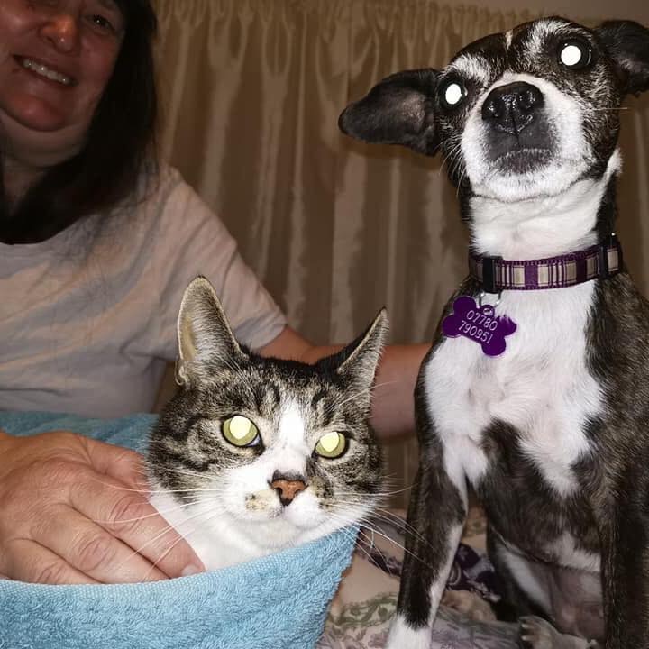 Go to Lisa Baker's profile