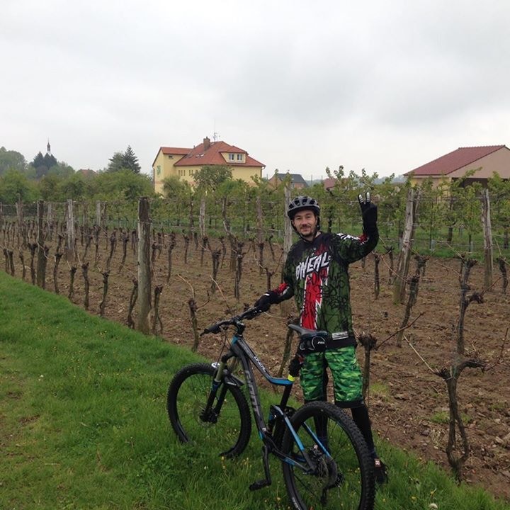 Go to Tom Houmr's profile