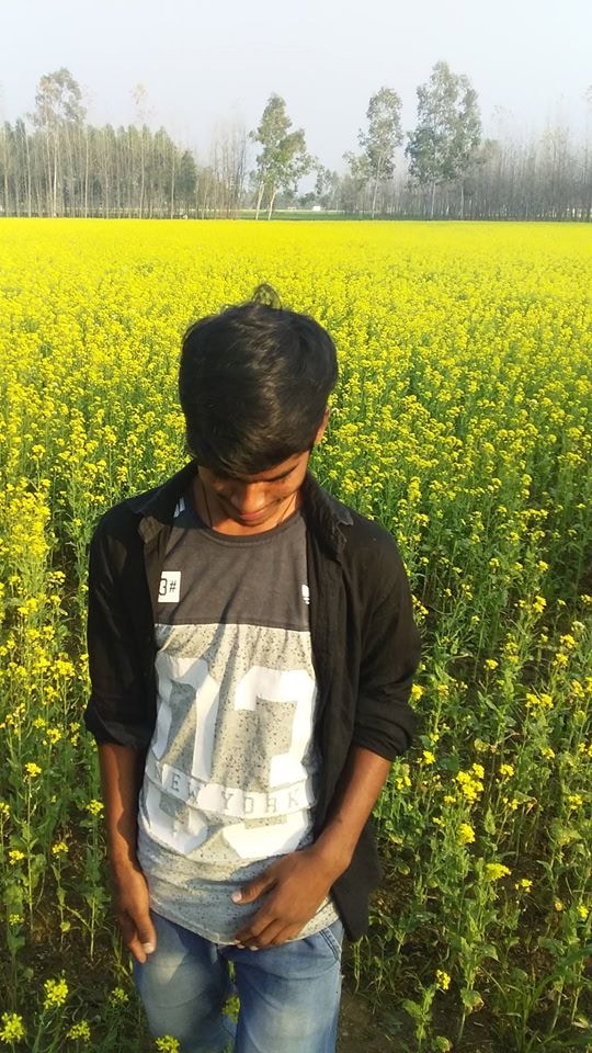 Ir para o perfil de Ajay Barai