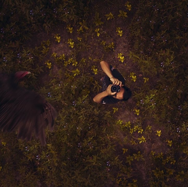 Avatar of user Fazly Shah