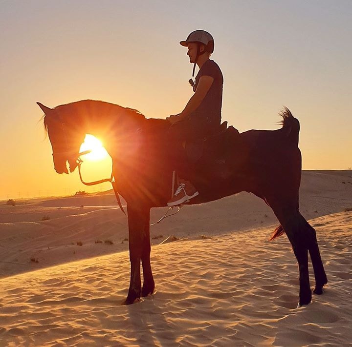 Go to Adryan RA's profile