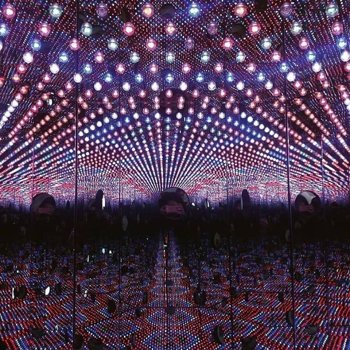 Go to Ana Bórquez's profile