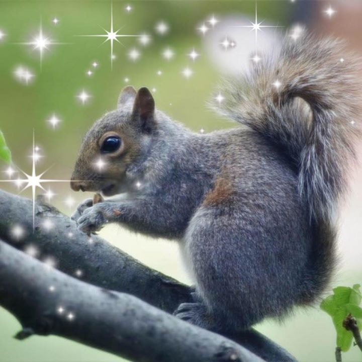 Go to Wen Zhu's profile