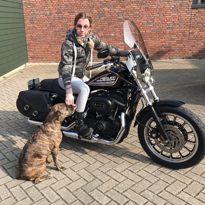 Go to Esther Gorlee's profile