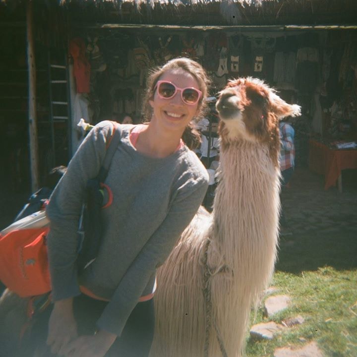 Go to Alice Feigel's profile