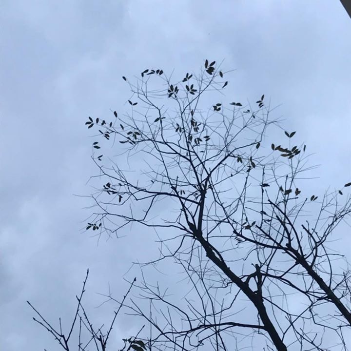 Ve al perfil de Kinnese Wang