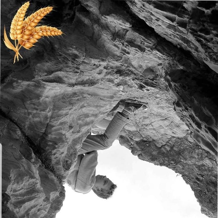 Go to Jordan White's profile