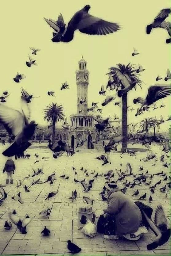 Unsplash profile picture for @pseudo