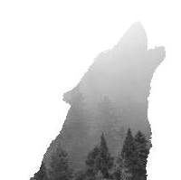 Go to SERAFINA SEELY's profile