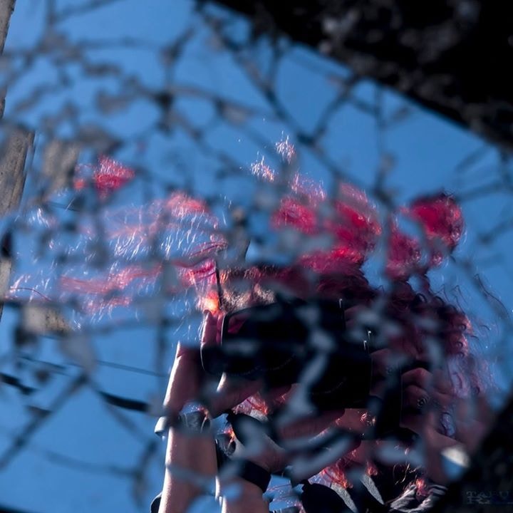 Go to Lizard Princess's profile