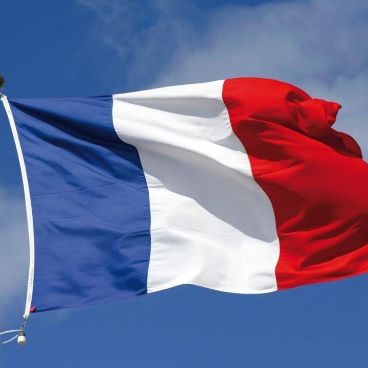 Go to Vincent Genevay's profile