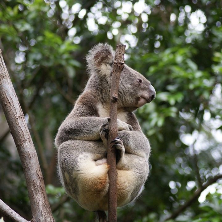 Go to ramil dinapo's profile