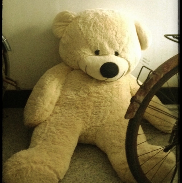 Johnny zhangのプロフィールを見る