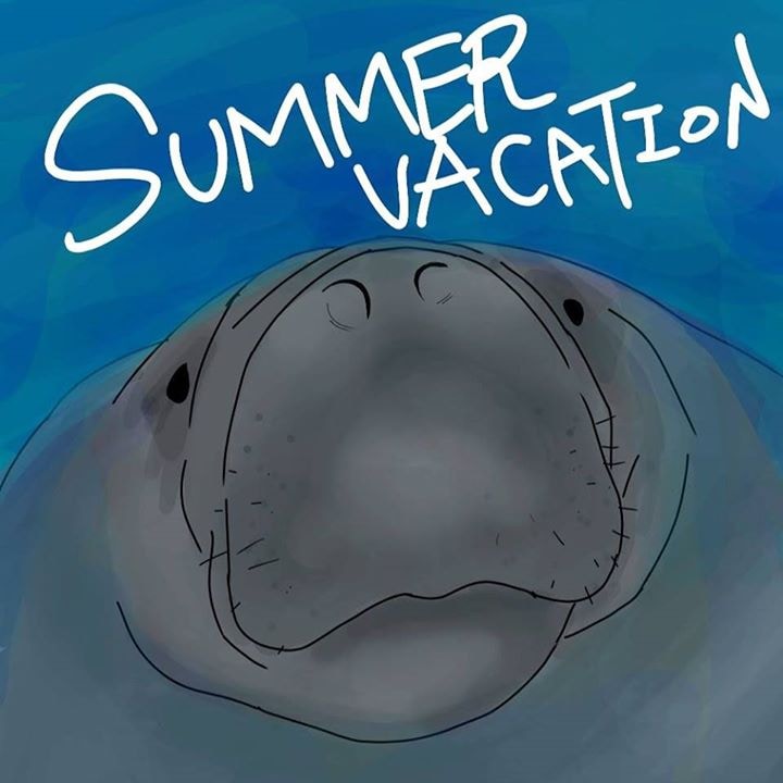 Unsplash profile picture for @manatee