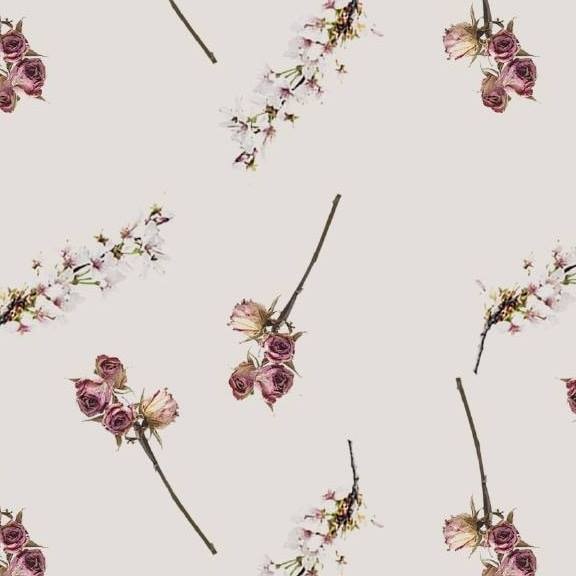 Ve al perfil de Lluvia Morales