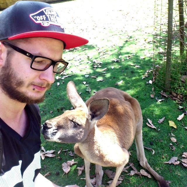 Go to Ondrej Bocek's profile