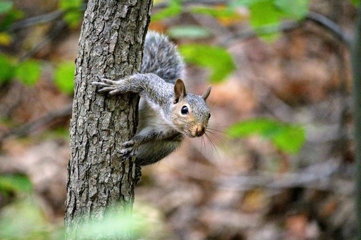Accéder au profil de Michael Geyer