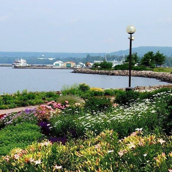 Go to Cindy Kellett's profile