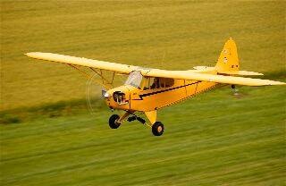 Ve al perfil de OvalDreamX