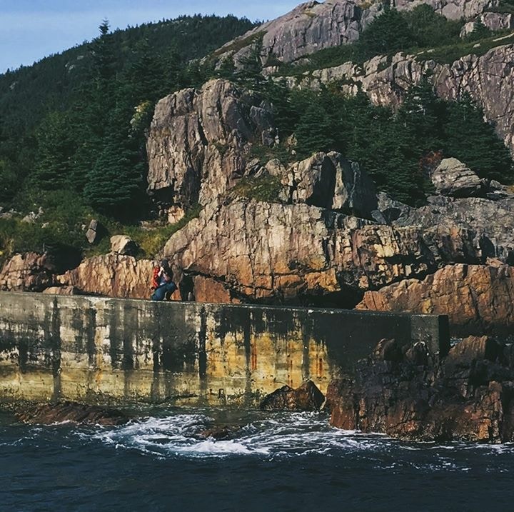 Go to Tyler Maddigan's profile