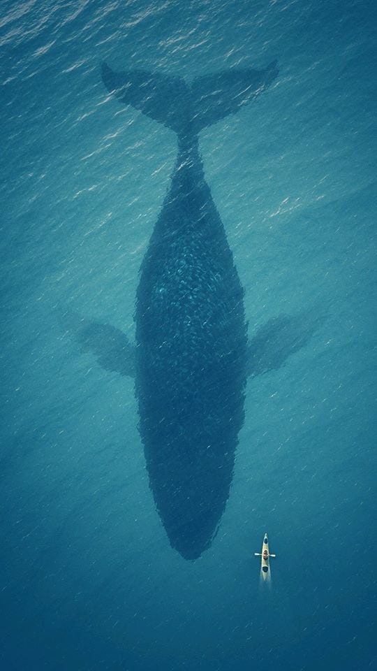 Go to 为智 杨's profile