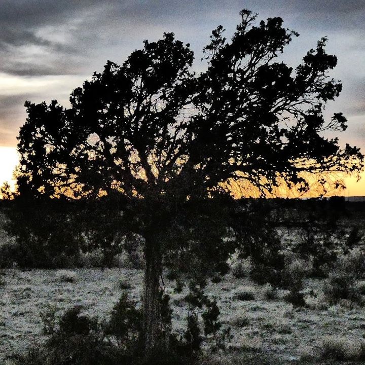 Go to Aaron Meacham's profile