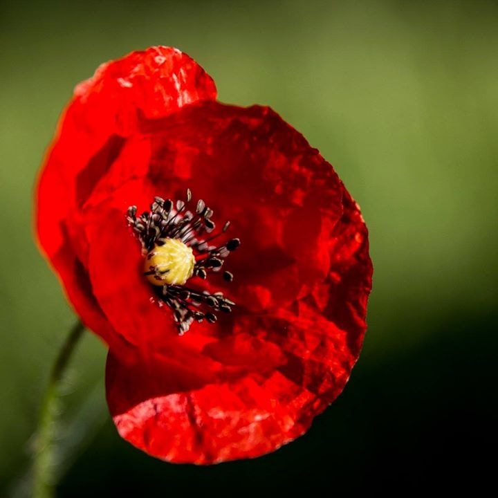 Go to Grosjean Benoit's profile