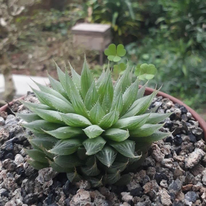 Go to Quyền Nguyễn's profile