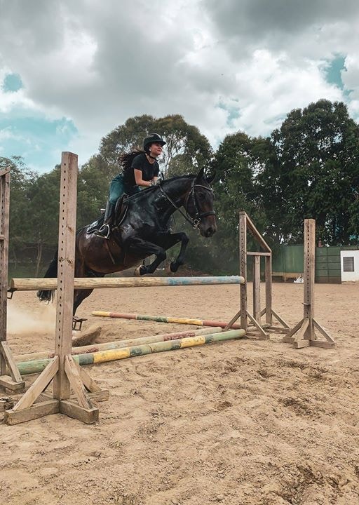 Go to CLAUDINA DARDÓN's profile