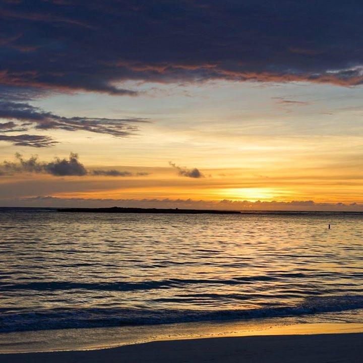 Go to Marvin Parks's profile