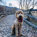 Vitamin Pictures Download Free Images On Unsplash