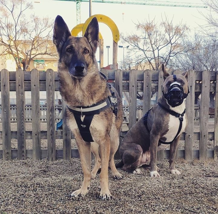 Avatar of user Marisa Teruel