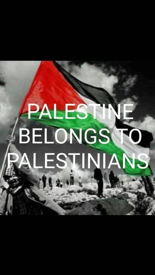 Unsplash profile picture for @palestine